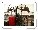 imgp2464 * Irish Elk * 2560 x 1920 * (3.26MB)