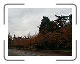 imgp4477 * 2560 x 1920 * (3.44MB)